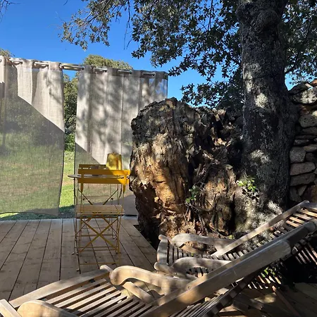 Lodge Insolite En Caravane Vintage - Accès Piscine Et Vue Montagne - Domaine L'aghja Vallica