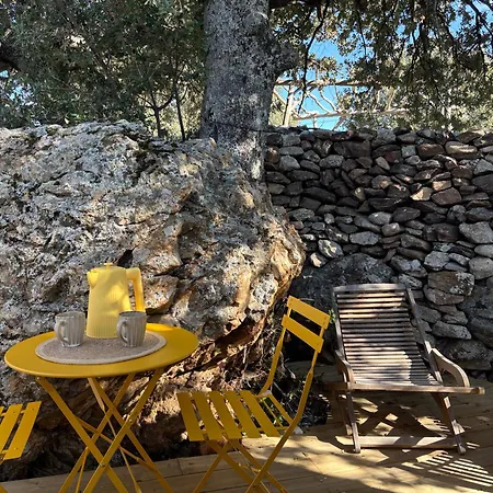 Insolite En Caravane Vintage - Accès Piscine Et Vue Montagne - Domaine L'aghja * Vallica